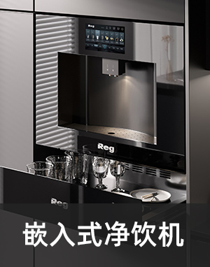 嵌入式净饮机