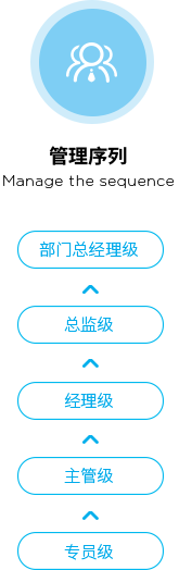 Reg雷哲职业发展路径系列1